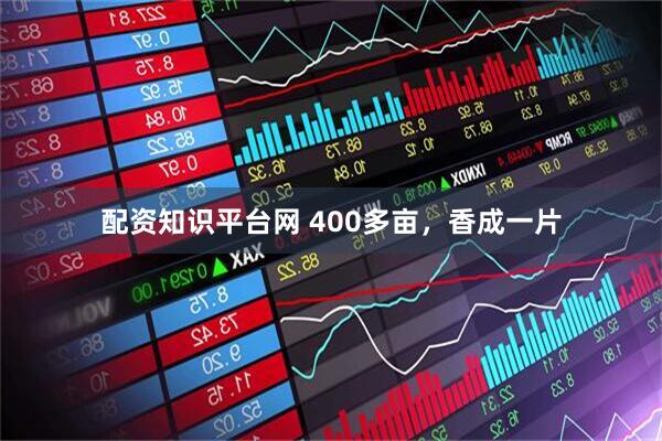 配资知识平台网 400多亩，香成一片